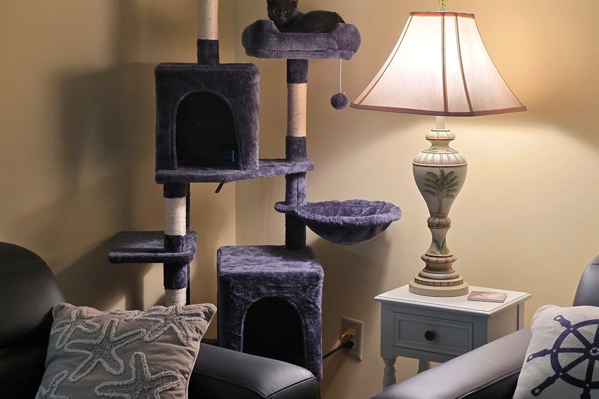 Pet Friendly with a cat tree for your feline companion if you are a cat lover