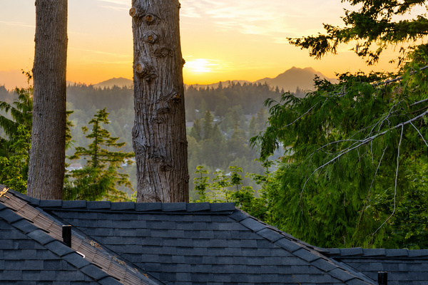 Olympic Mountains view
