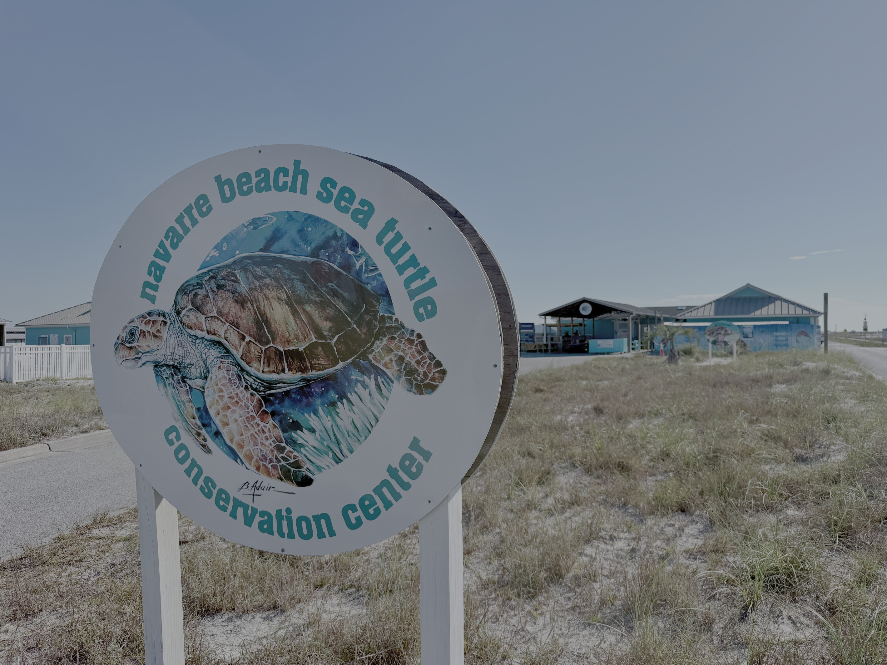 The Navarre Beach Sea Turtle Conservation Center is a must do. Our friends and family love visiting the center.