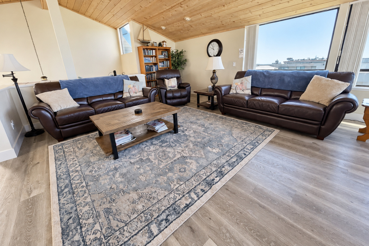Living Room couches