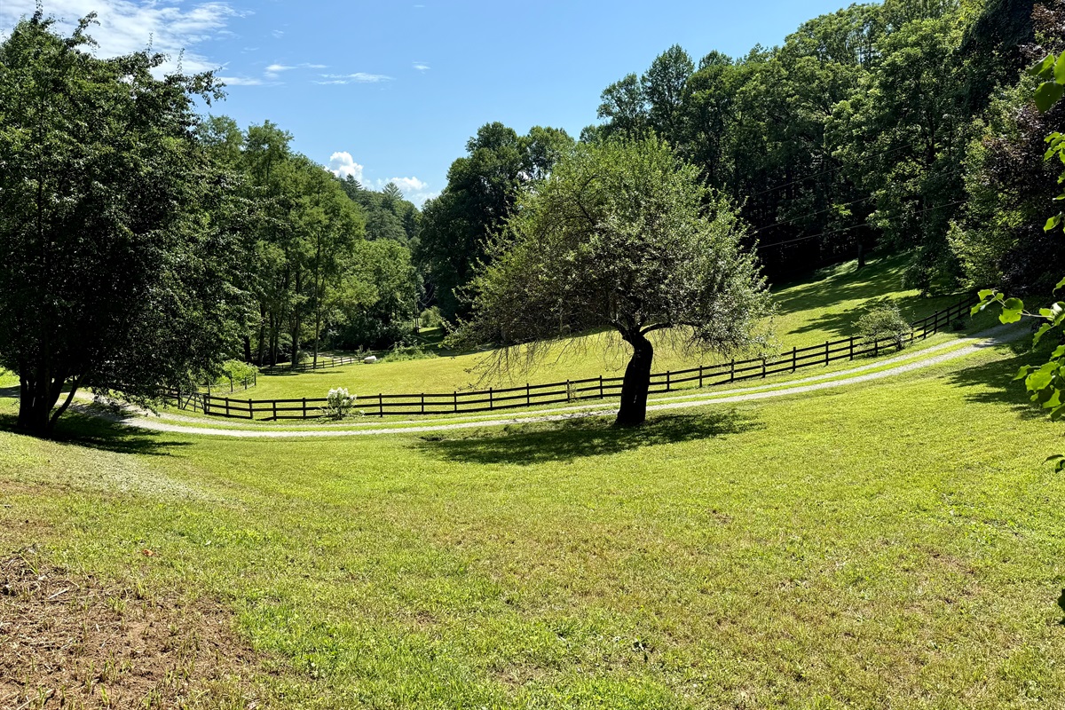 Pasture views by day, stargazing by night.