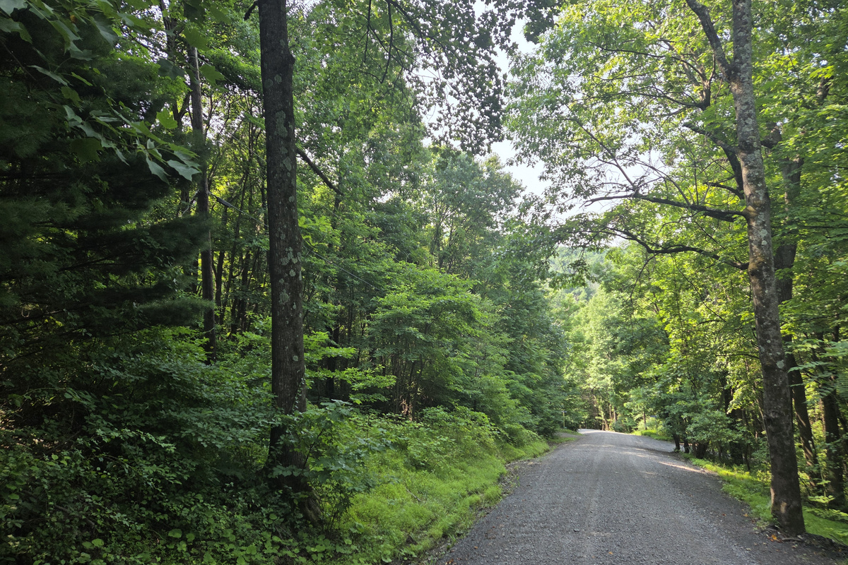 The property is accessed by a winding gravel mountain road with hills and curves.