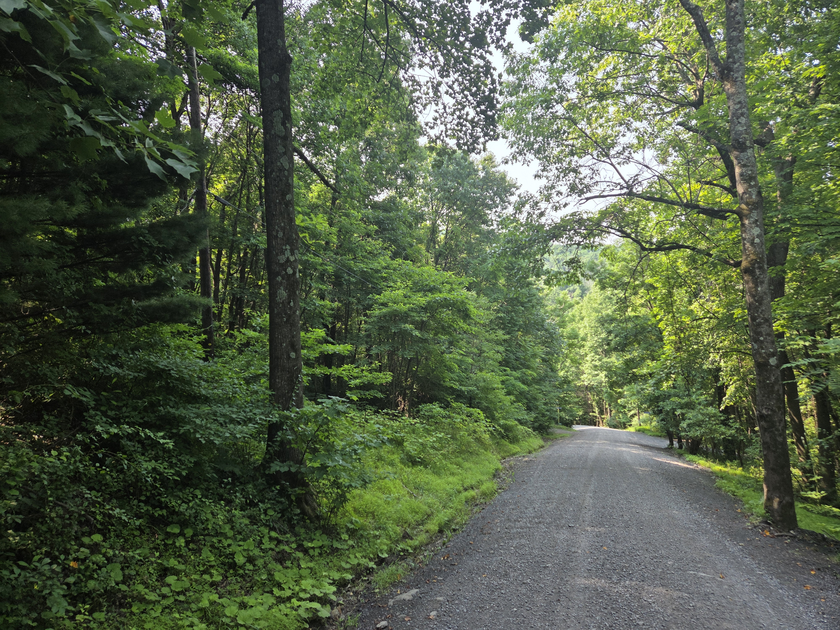 The property is accessed by a winding gravel mountain road with hills and curves.