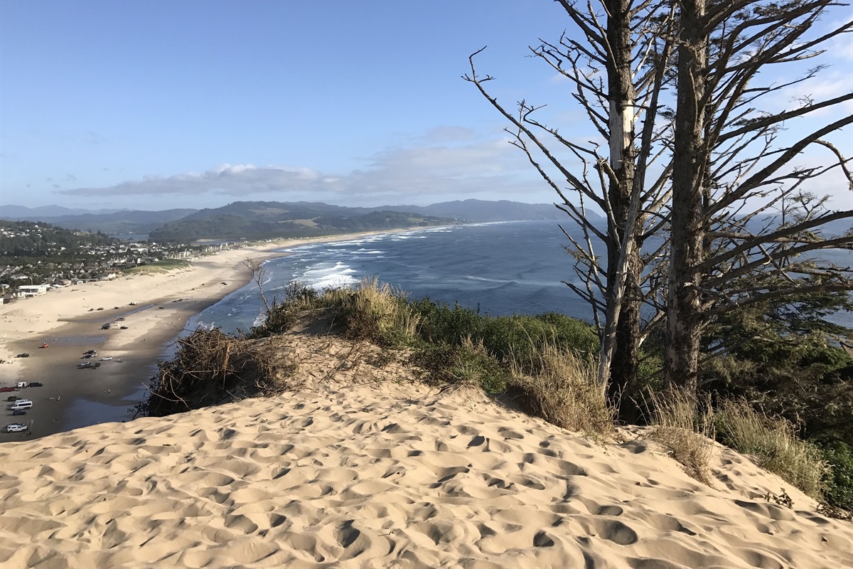 Top of Cape Kiwanda dunes looking South 