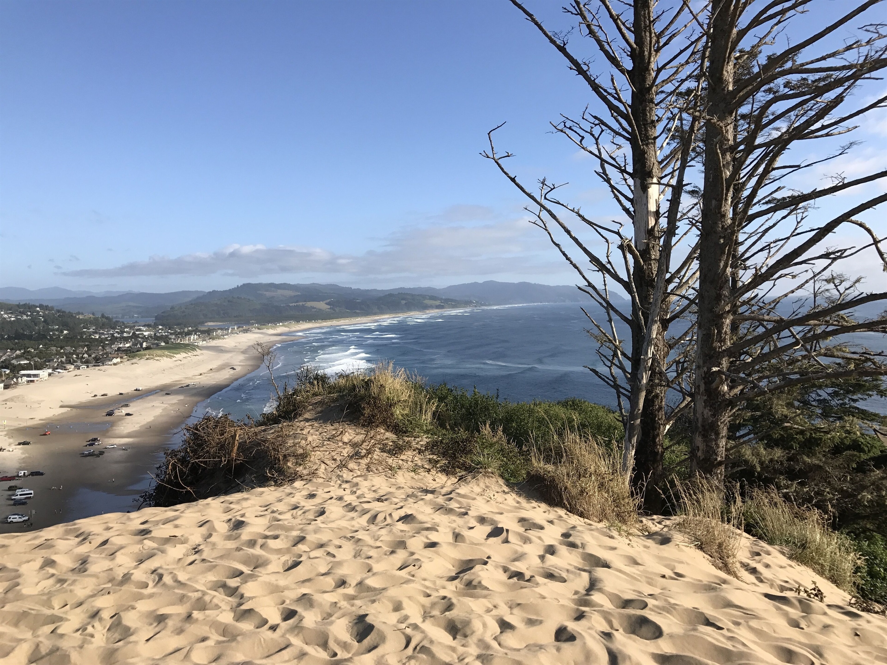 Top of Cape Kiwanda dunes looking South 