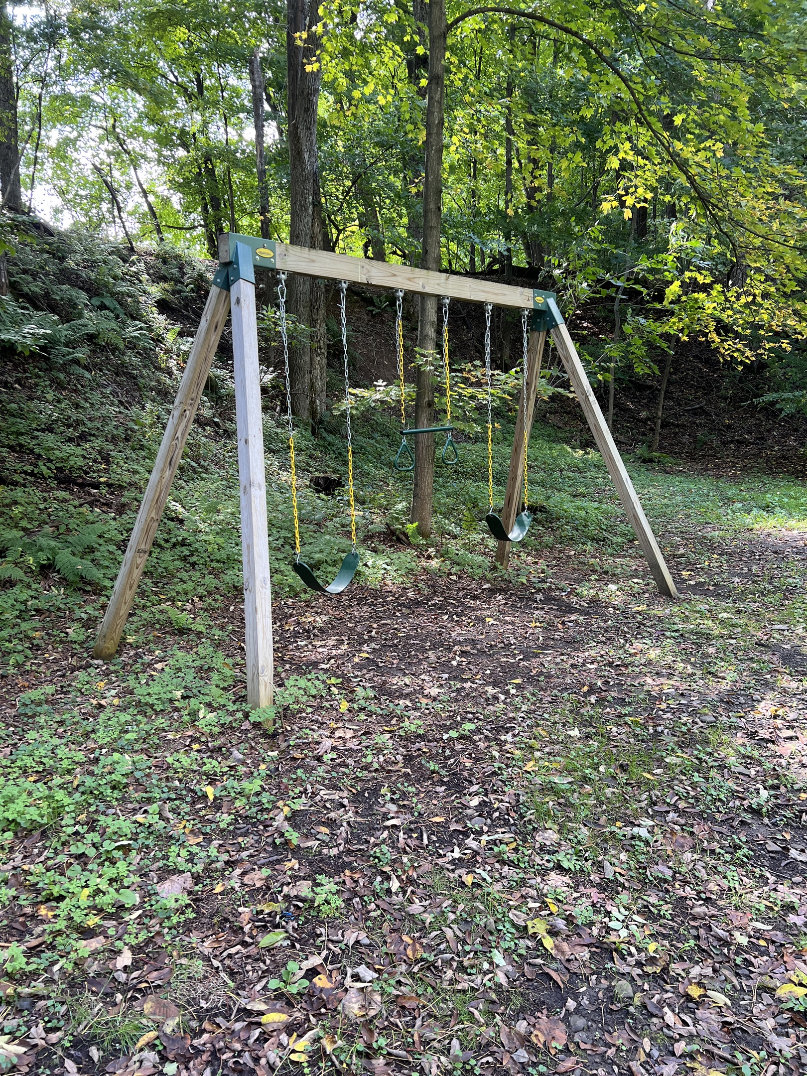 Swing set in the shared backyard with Moonlight Graham Doc.