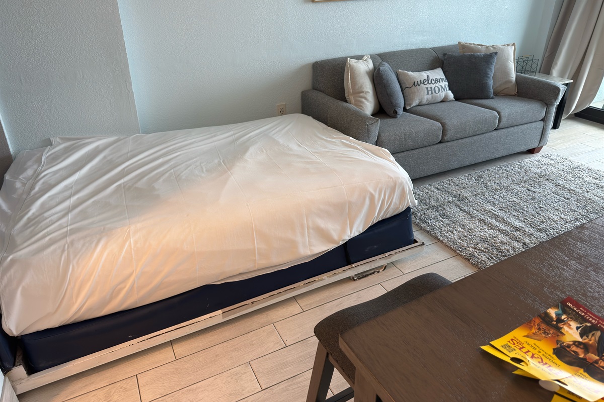 Living room with sofa bed and Murphy bed