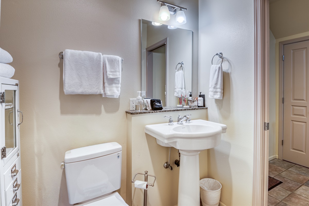 Ensuite Bath to Ground Floor Bedroom