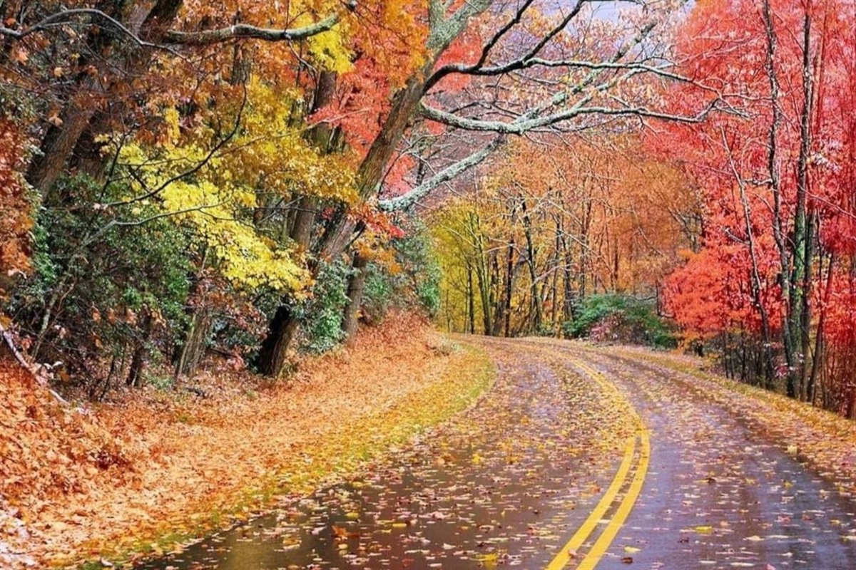 Fall days in Lake Lure!
