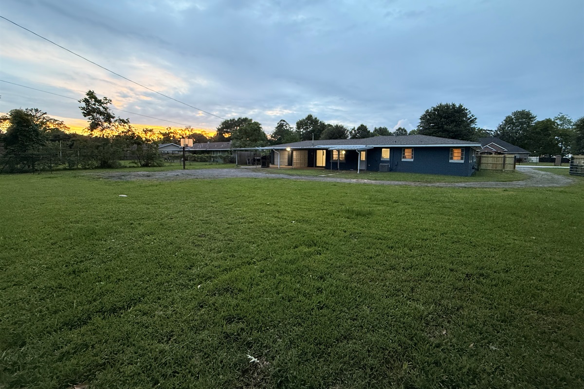 back yard