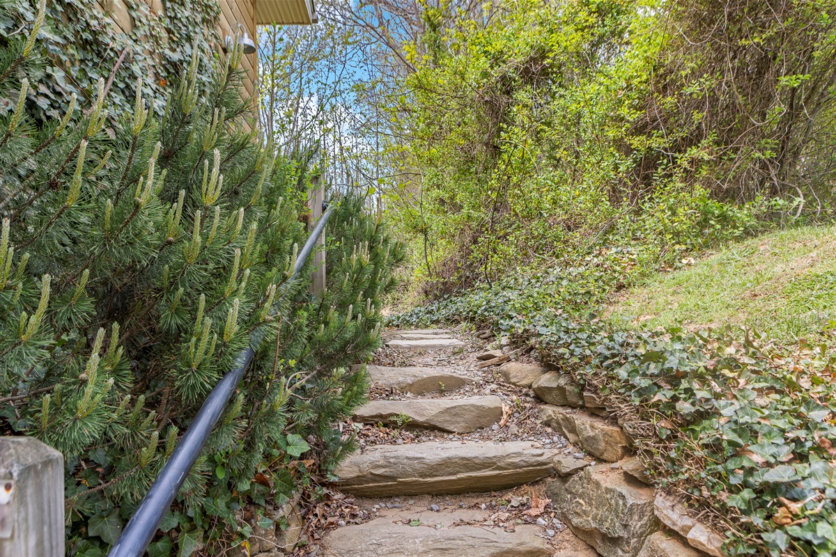 Garden Pathway: Discover nature's embrace as you stroll this charming stone pathway!

