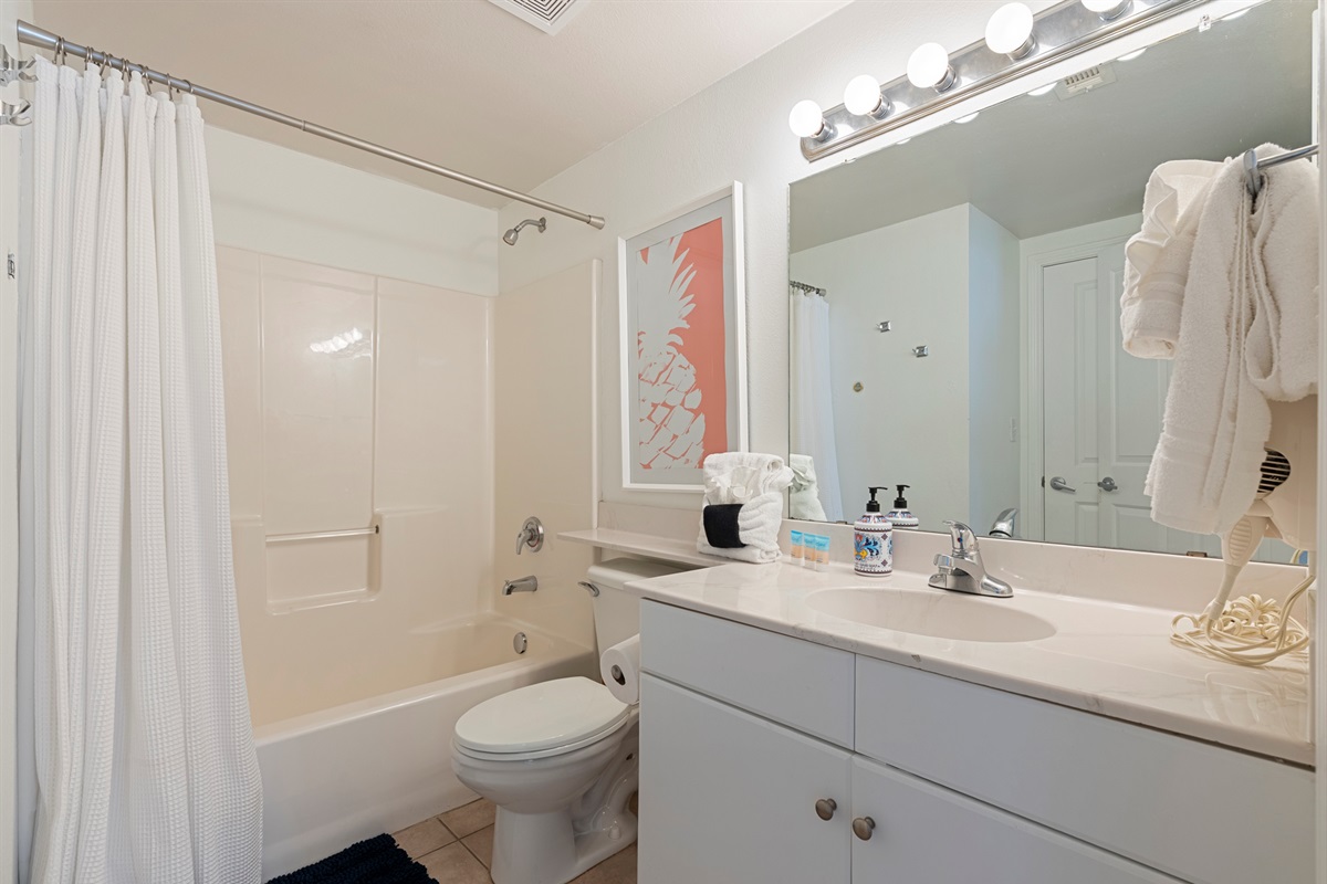 Guest Bath
