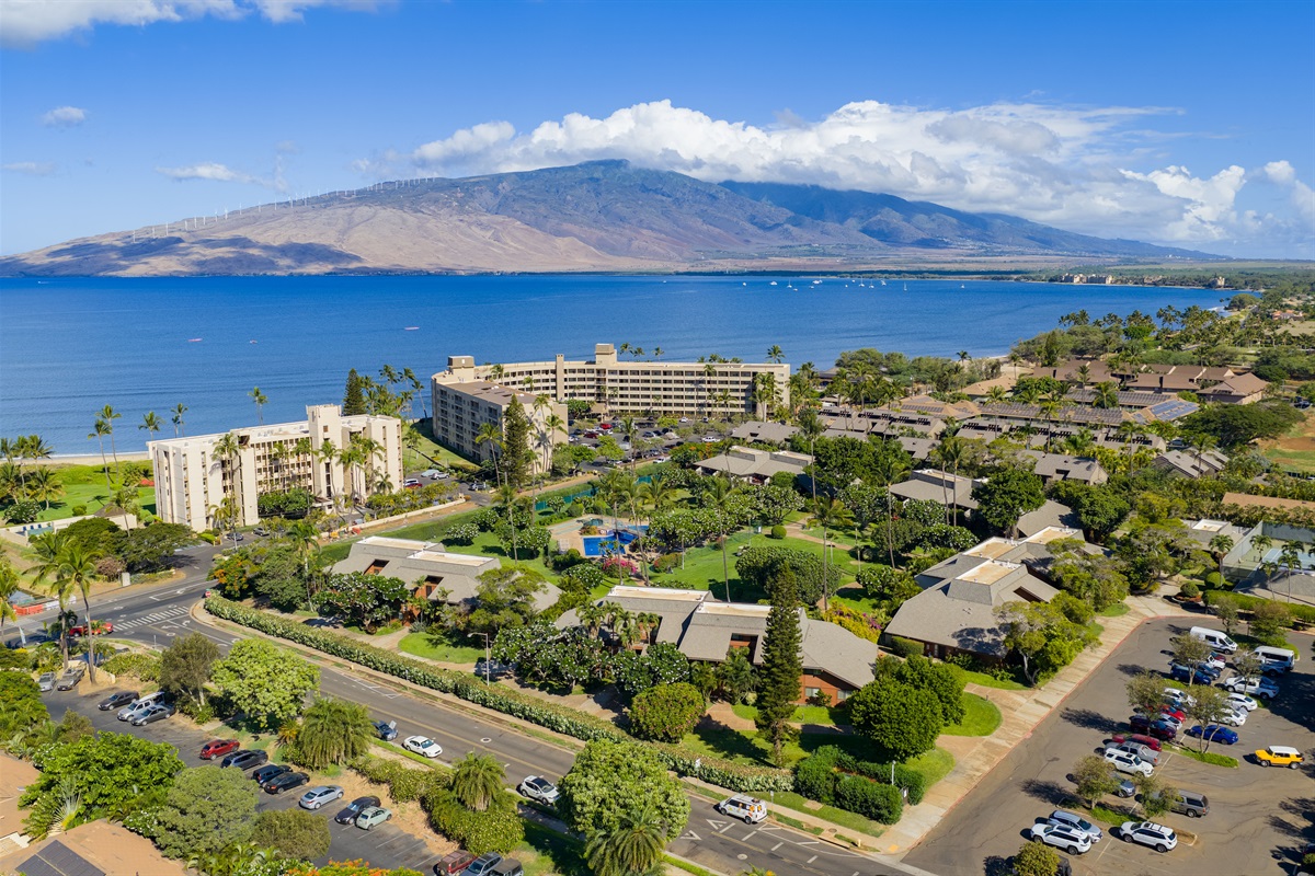 South Maui