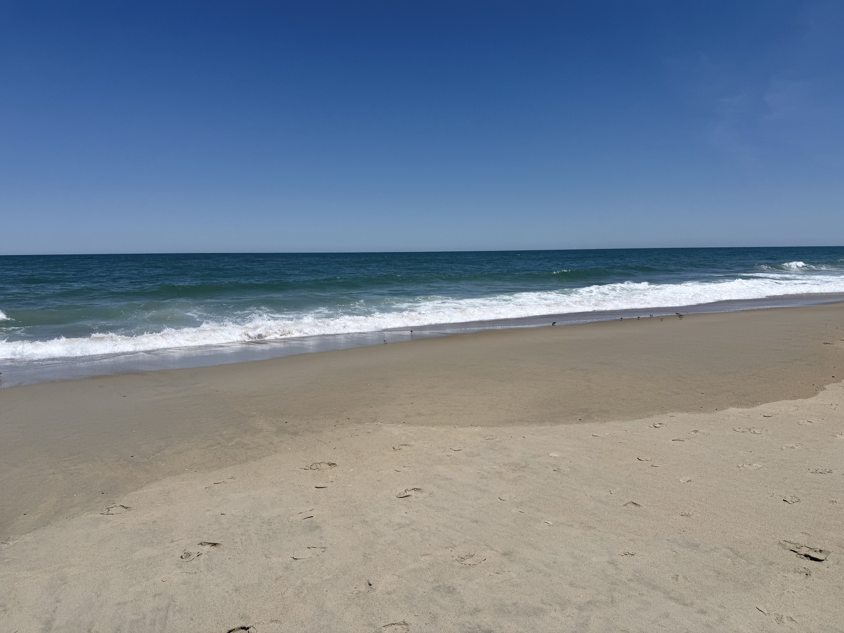 Hayman Rd Beach Access
