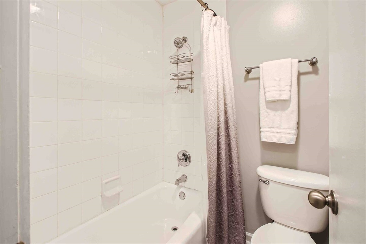 Tub and Shower combo 