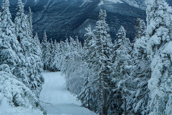Breath taking view from Wildcat Ski Mountain! 