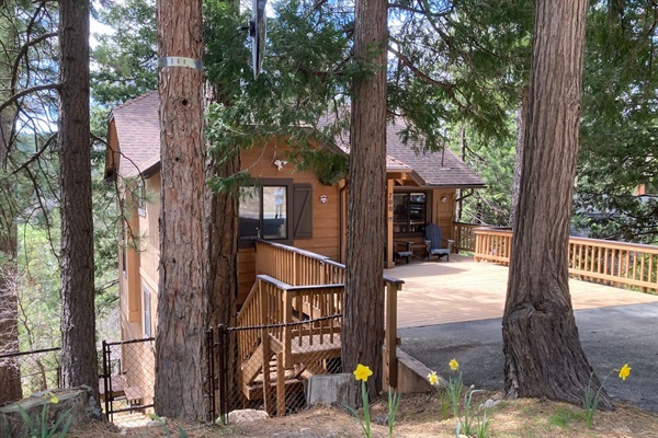 Fenced in yard for dogs.