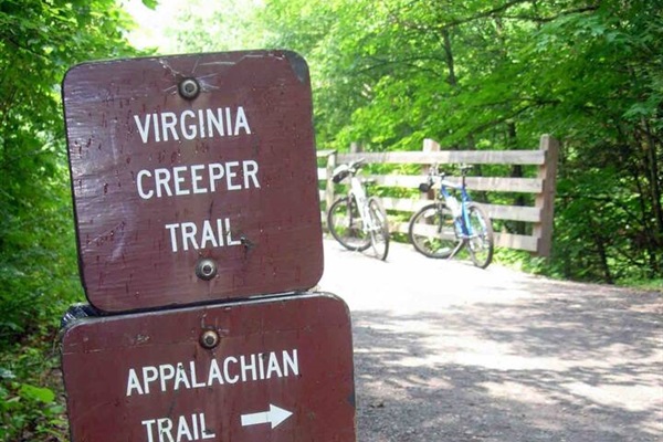 Our area boasts numerous exceptional hiking trails, including the Creeper Trail, which is only a short 15-minute drive away, and access to the renowned Appalachian Trail. Why not take advantage of the opportunity to immerse yourself in the outdoors!