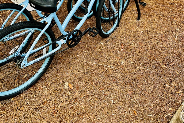 Four Cruiser Bikes are Included with Your Stay