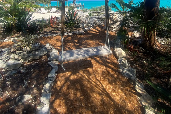 View from the swing. 