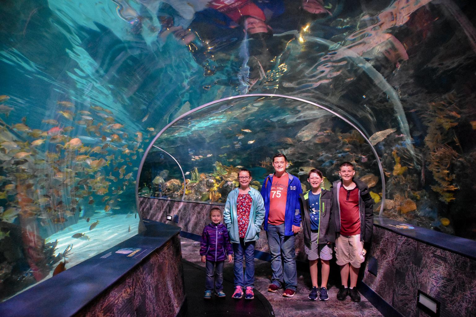 Ripley's aquarium in the Smokies