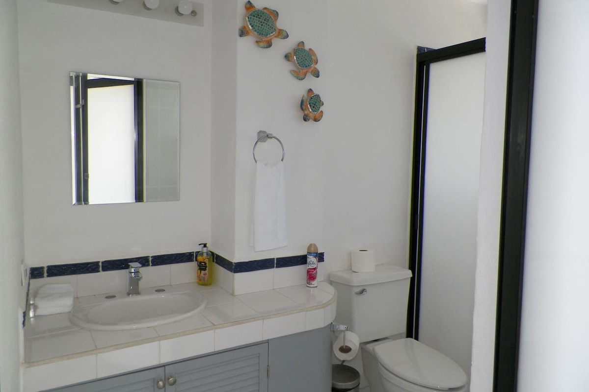 Main bedroom bathroom