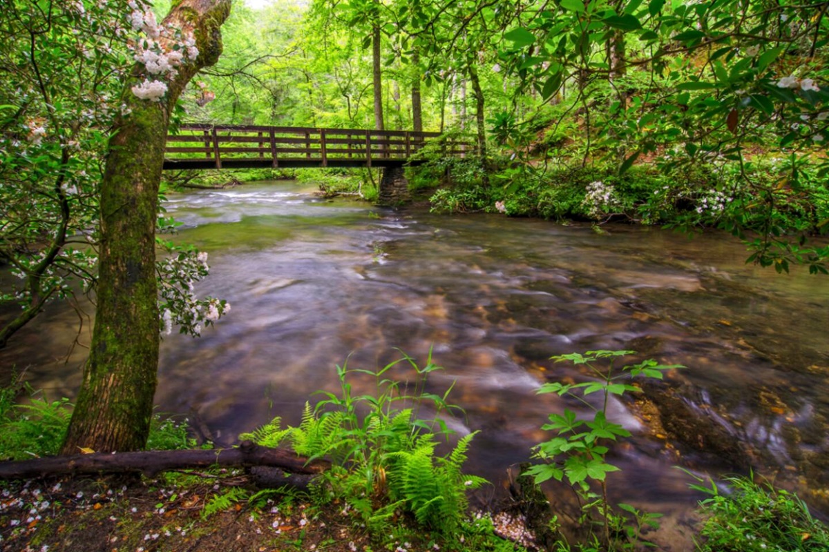 Wander along picturesque river trails where every turn reveals a new natural wonder.