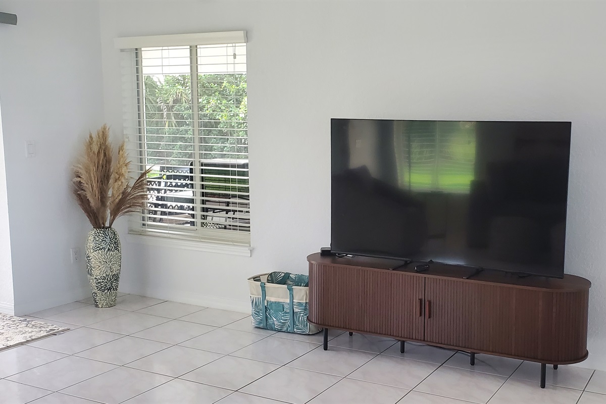 Smart TV with Roku