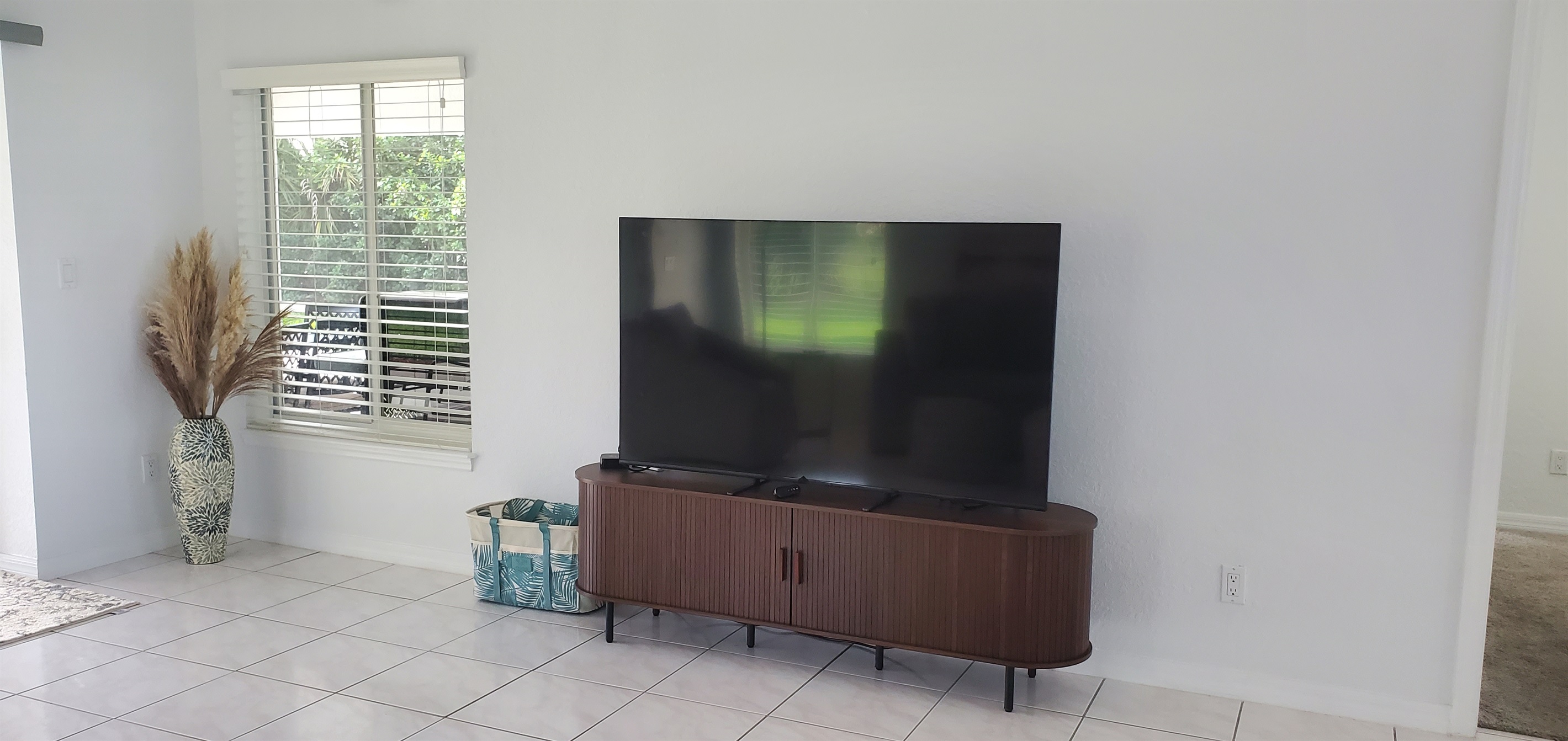 Smart TV with Roku