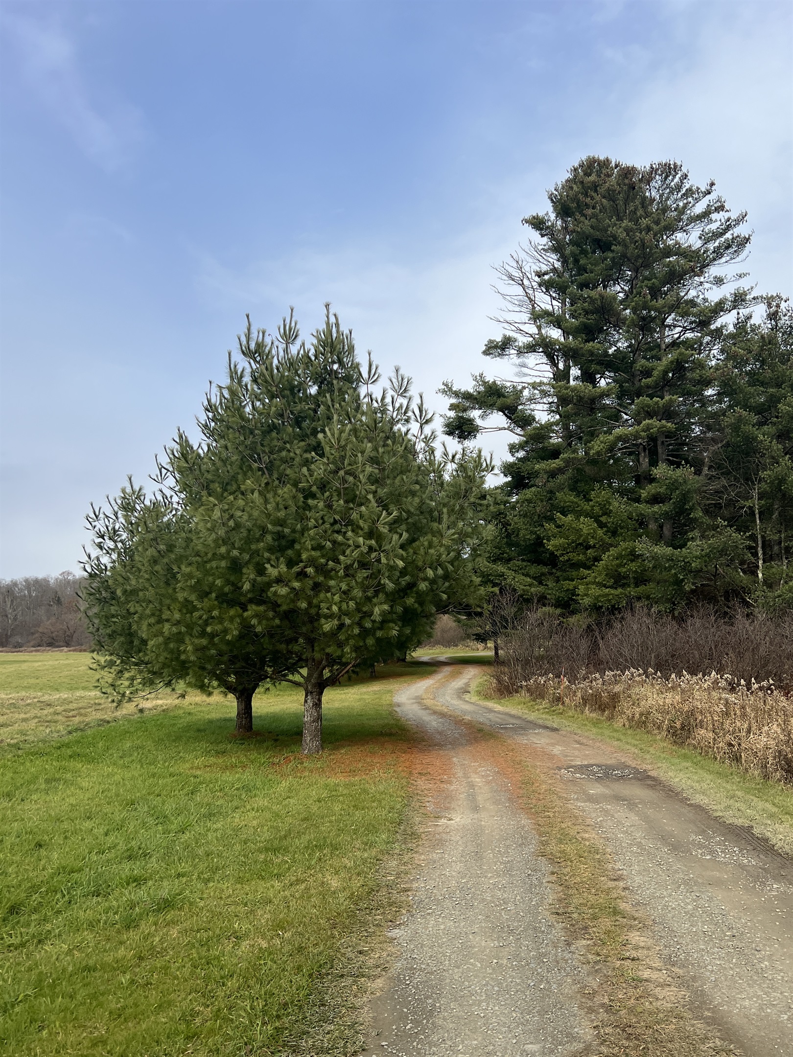 Horse Haven driveway