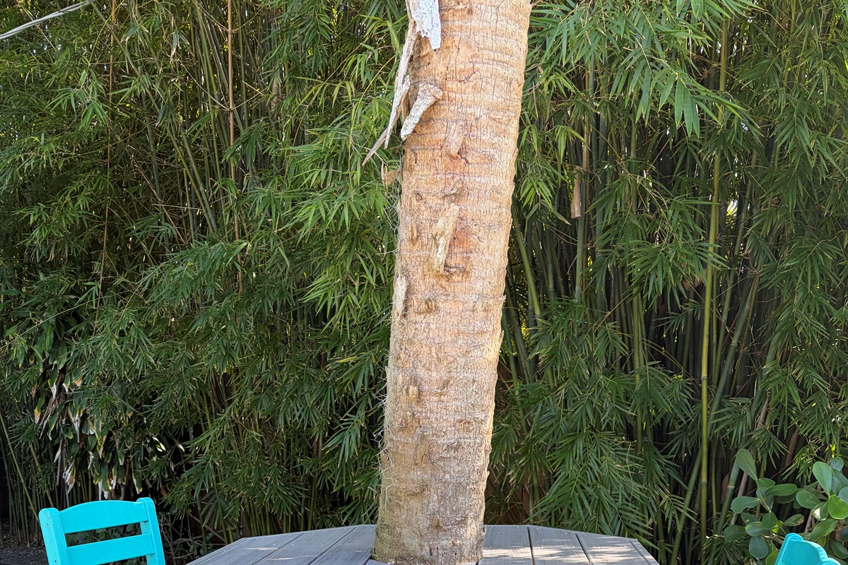 Grab a cocktail and relax in this backyard bar.