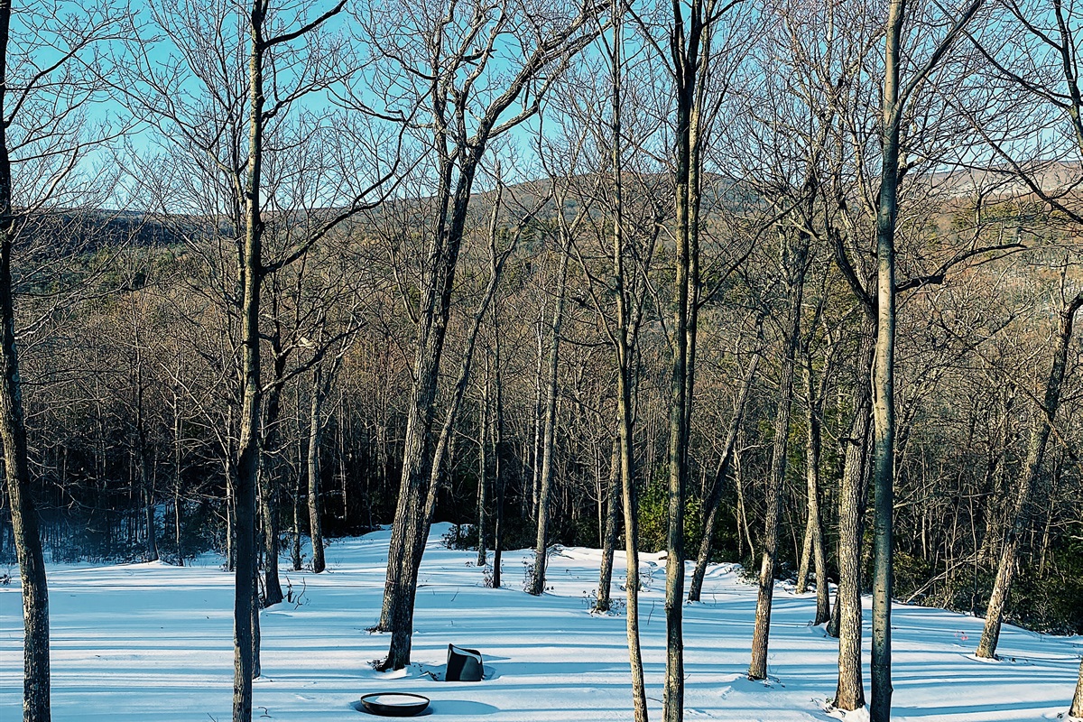Our land next door to preserve privacy and views. The mountain laurel has now grown in a bit more than this.
