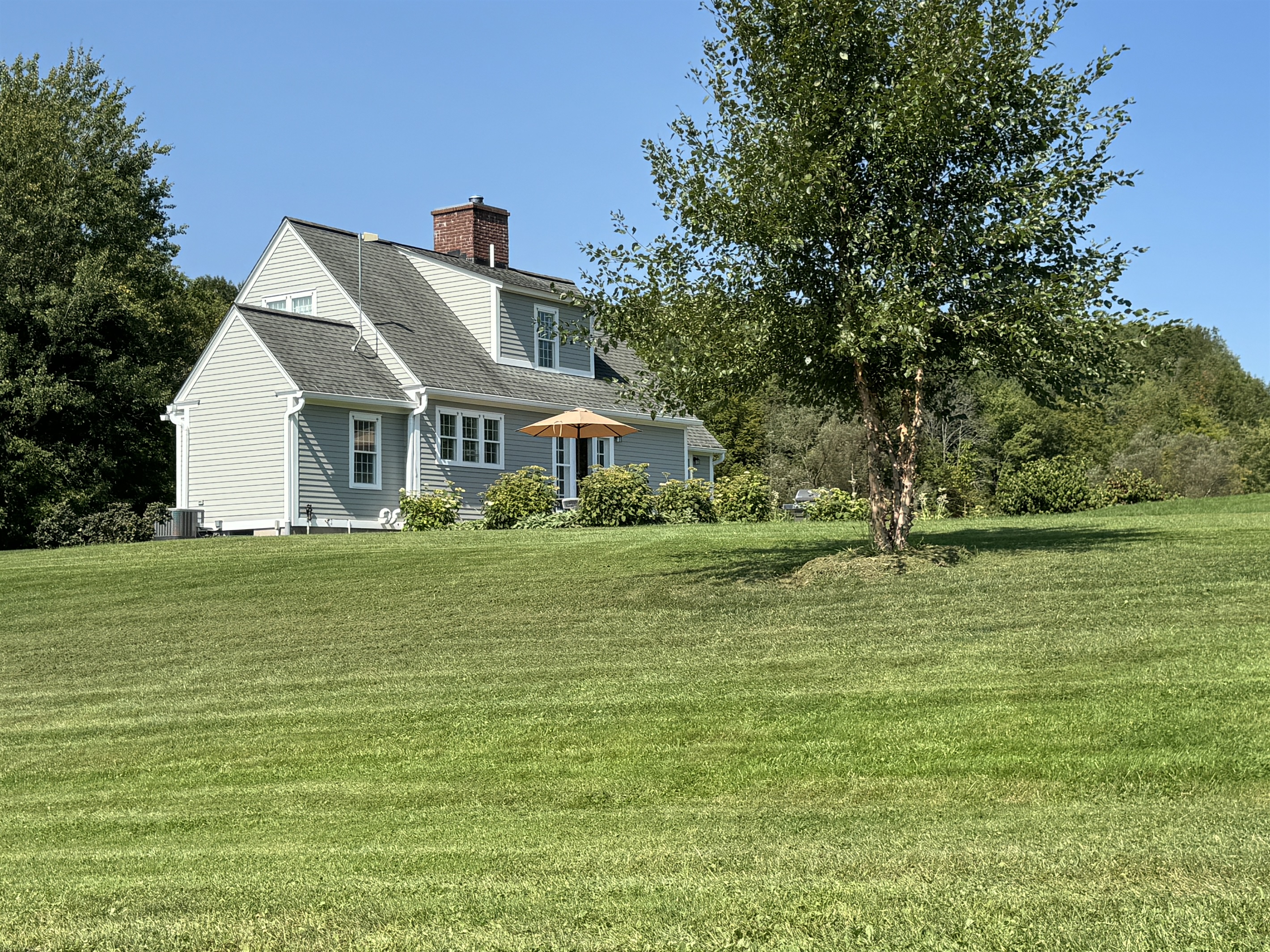 Back lawn