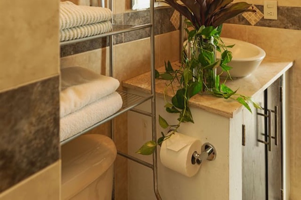 Bathroom - Master suite 