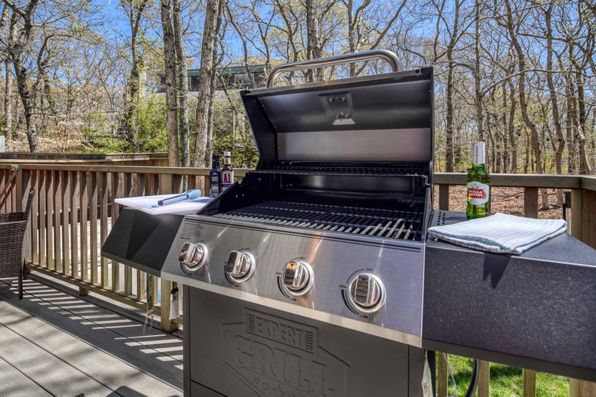 Back deck with BBQ