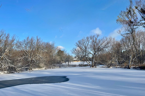 Frozen pond with house in background.