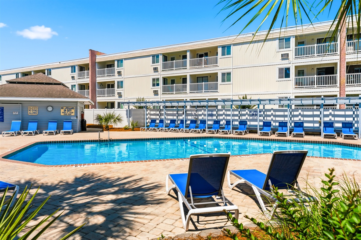 Lovely Outdoor pool and sun bathing area