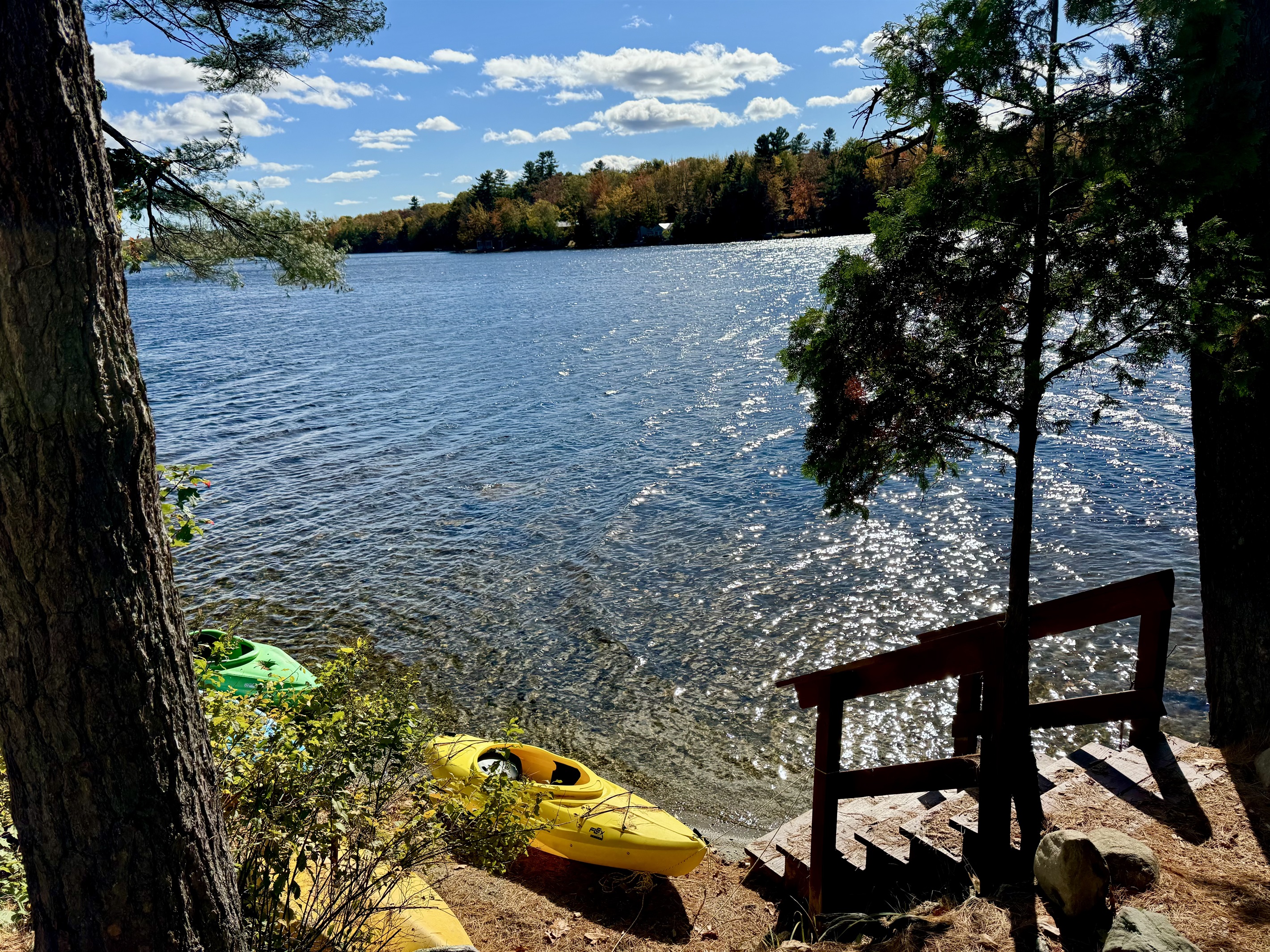 Many free kayaks to use down at the water front