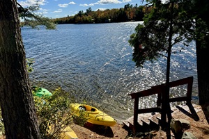 Many free kayaks to use down at the water front