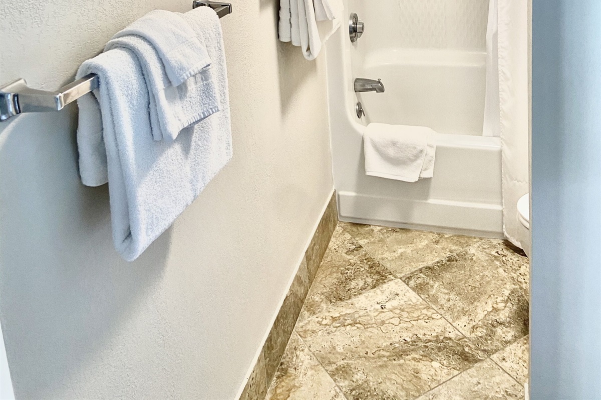 Master bath with tub shower