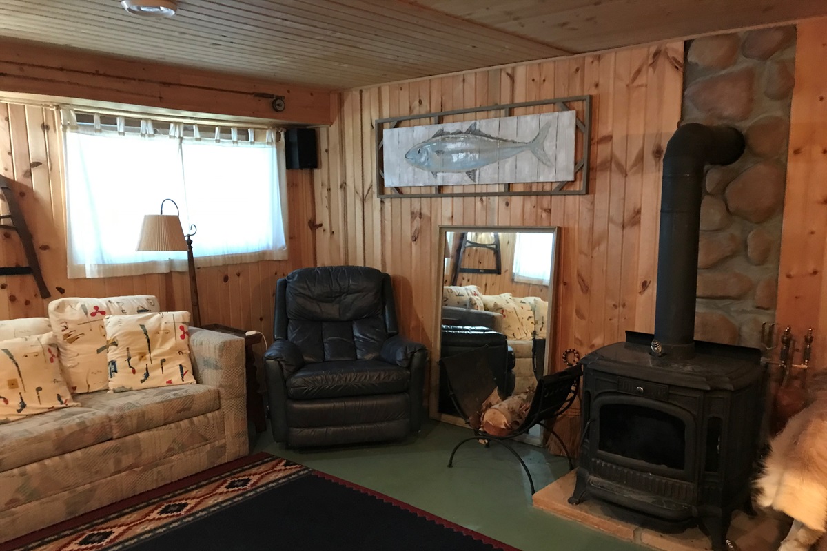 Lower Level Living Area