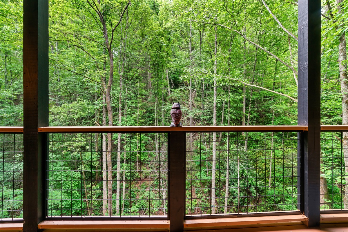Surround yourself with Nature