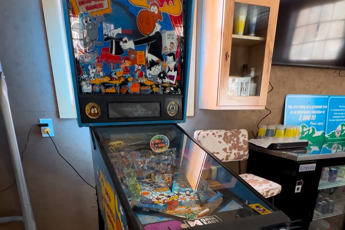 Pinball in the Barn! 