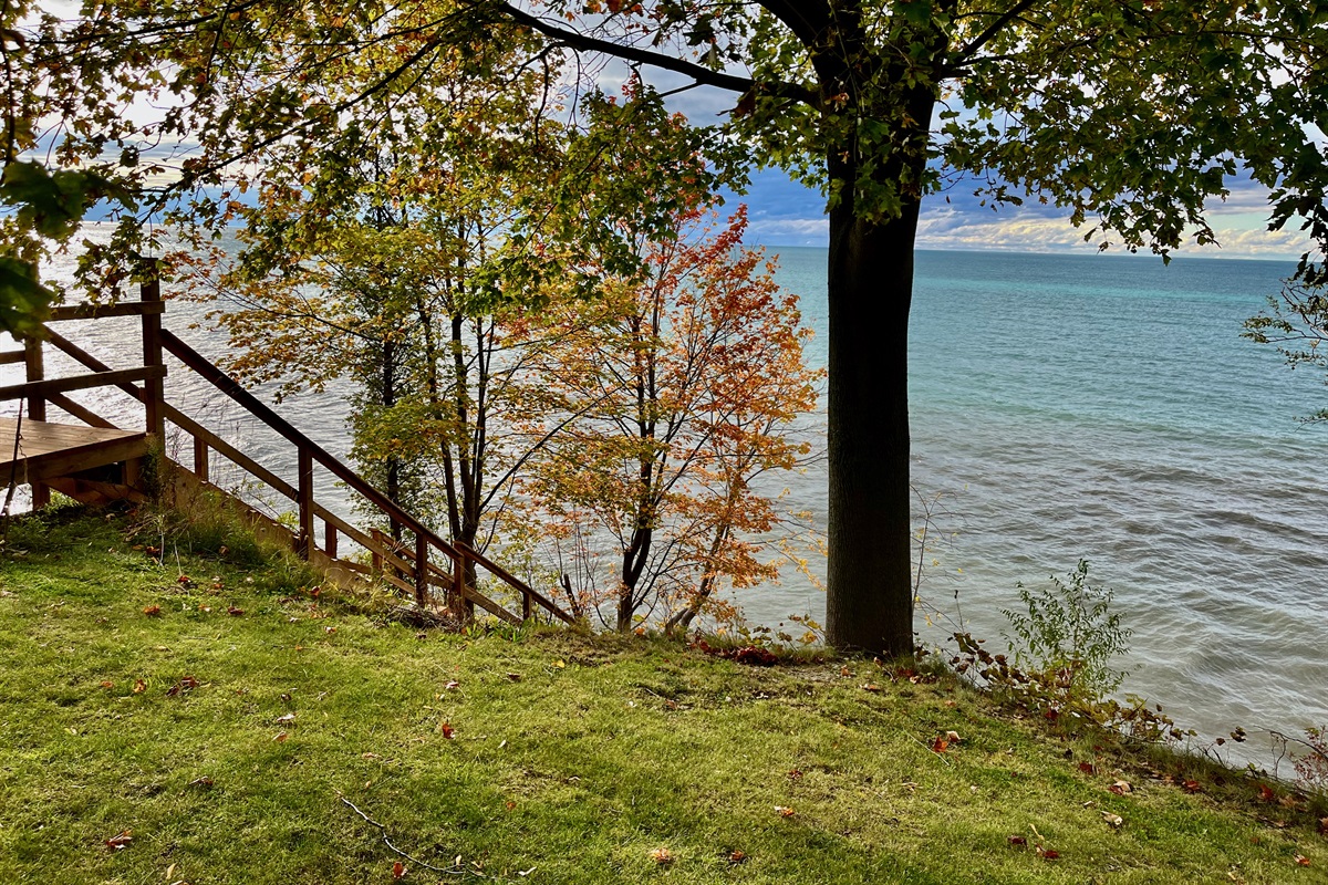 451fb90dbed9436cadd7aa345c5886bc Large