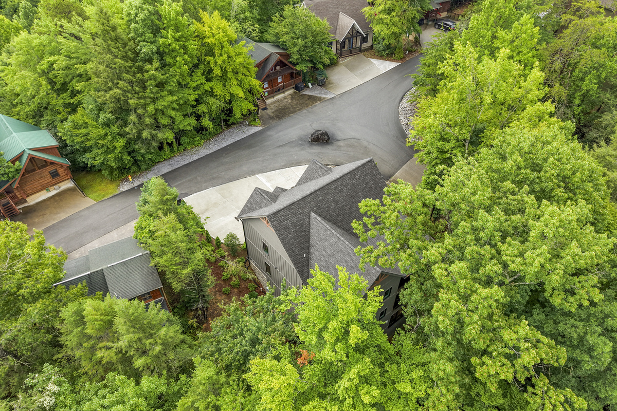 Aerial view - house and road