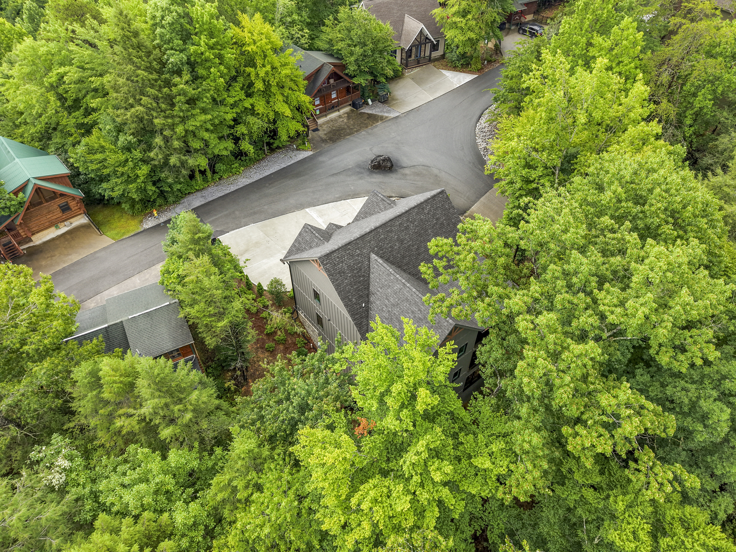 Aerial view - house and road