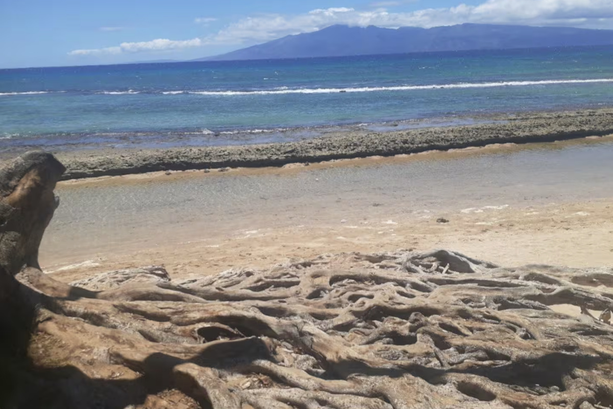 Neighborhood beach park and snorkeling 