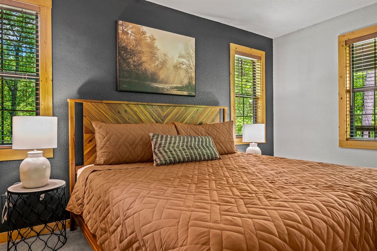 Main floor king bedroom with TV