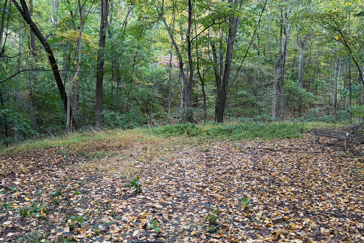Numerous trails are on the 26 acre property, which you are free to use. We do have many wild animals to enjoy watching, but do take care and be safe. Read through the Guest Welcome Book about safety before you venture off.