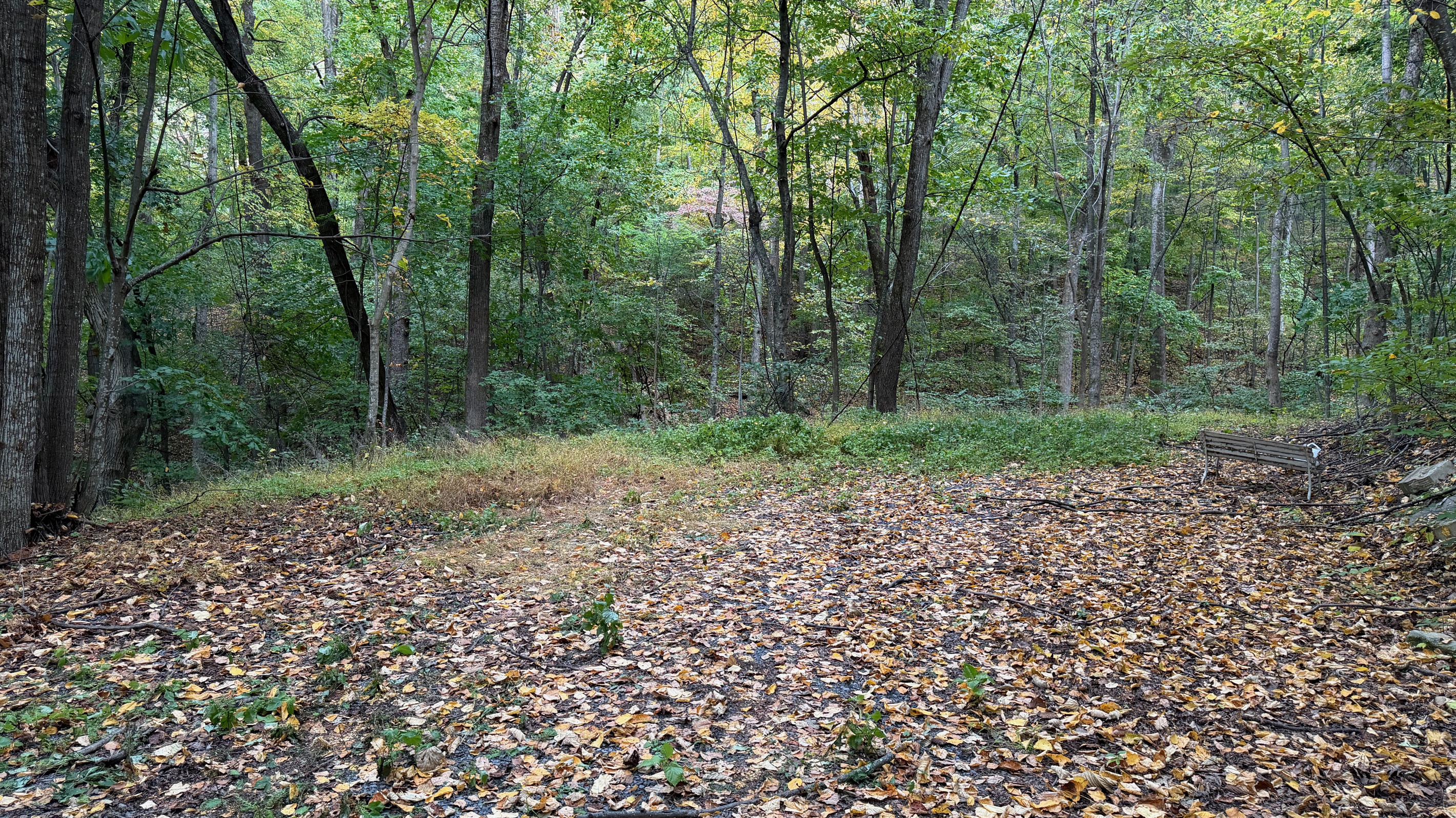 Numerous trails are on the 26 acre property, which you are free to use. We do have many wild animals to enjoy watching, but do take care and be safe. Read through the Guest Welcome Book about safety before you venture off.